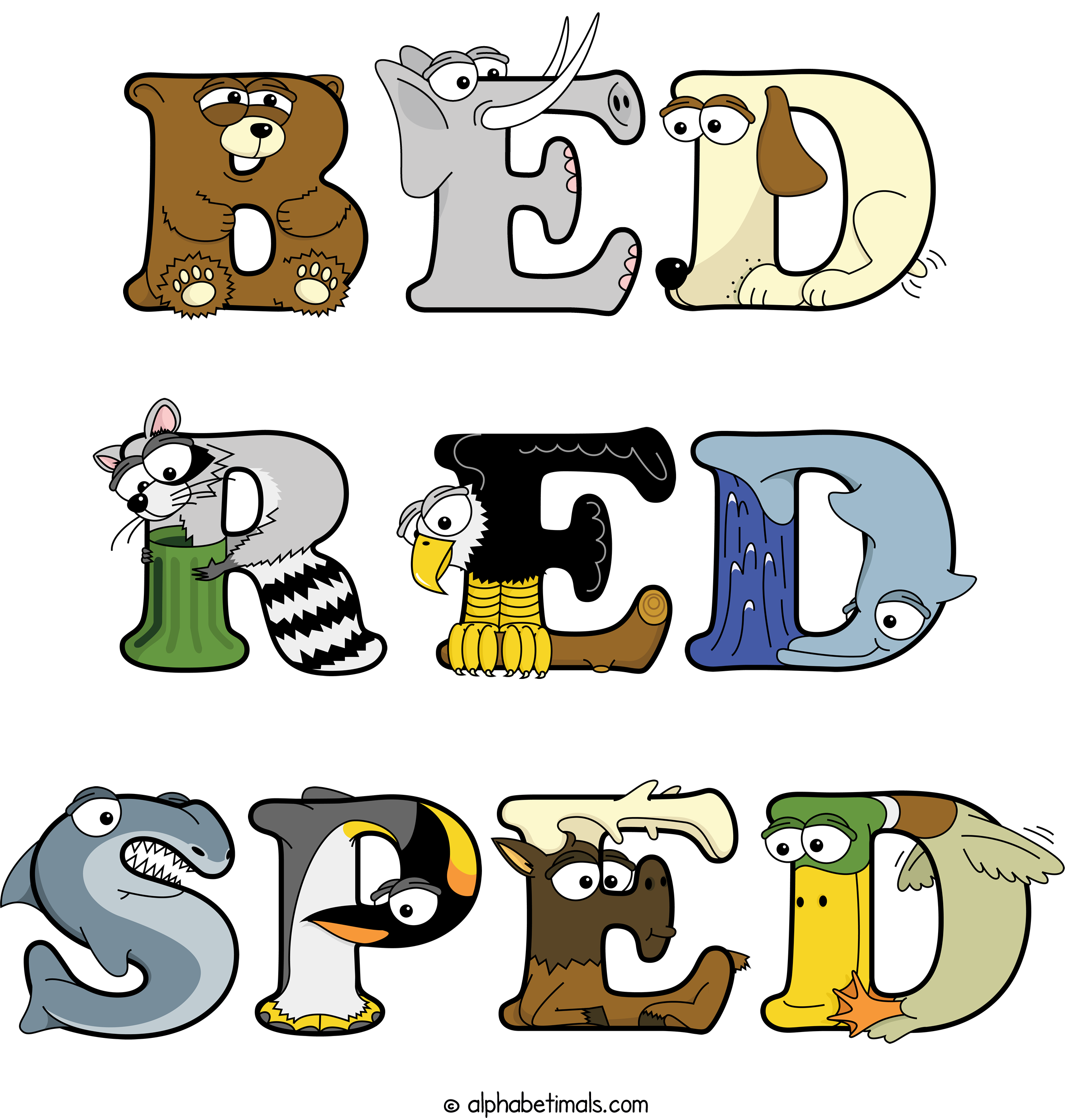 BED RED SPED
